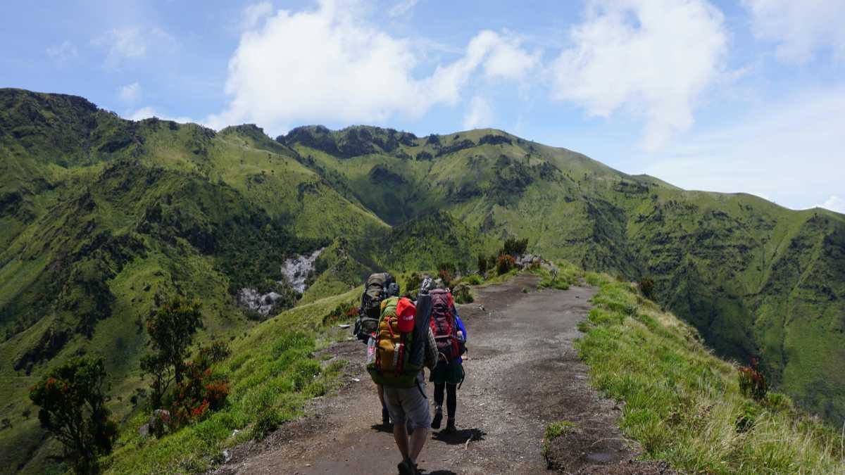 Trekking e Outdoor nei Dintorni di Larino: Scopri i Migliori Sentieri